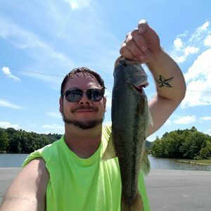 Meet your Posher, Tim